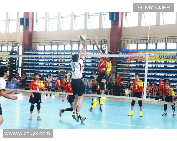 杨强独家分享排球技巧与心得助你提升竞技水平与团队配合能力